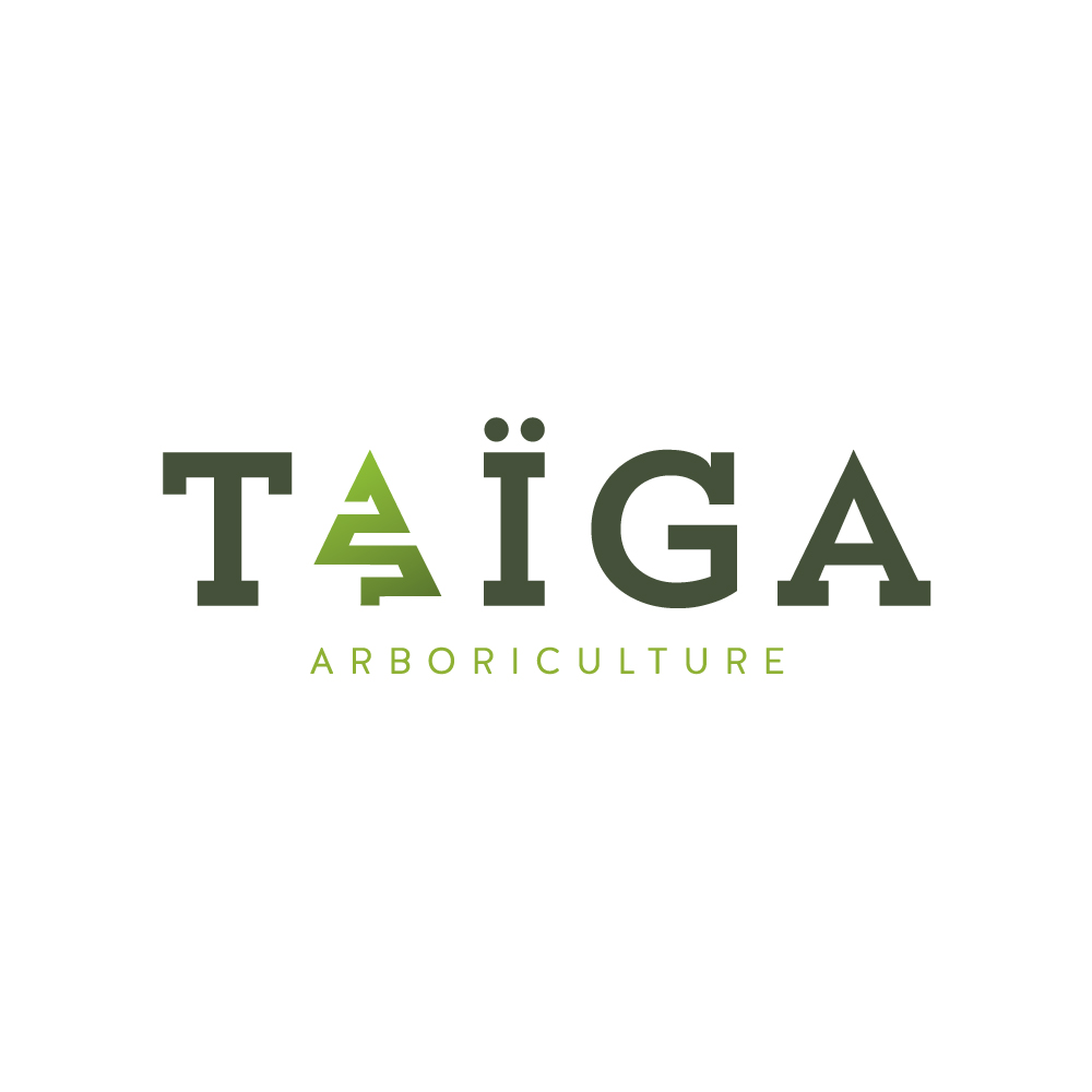Logo_Taiga-Couleur.jpg Logo_Taiga-Couleur.jpg