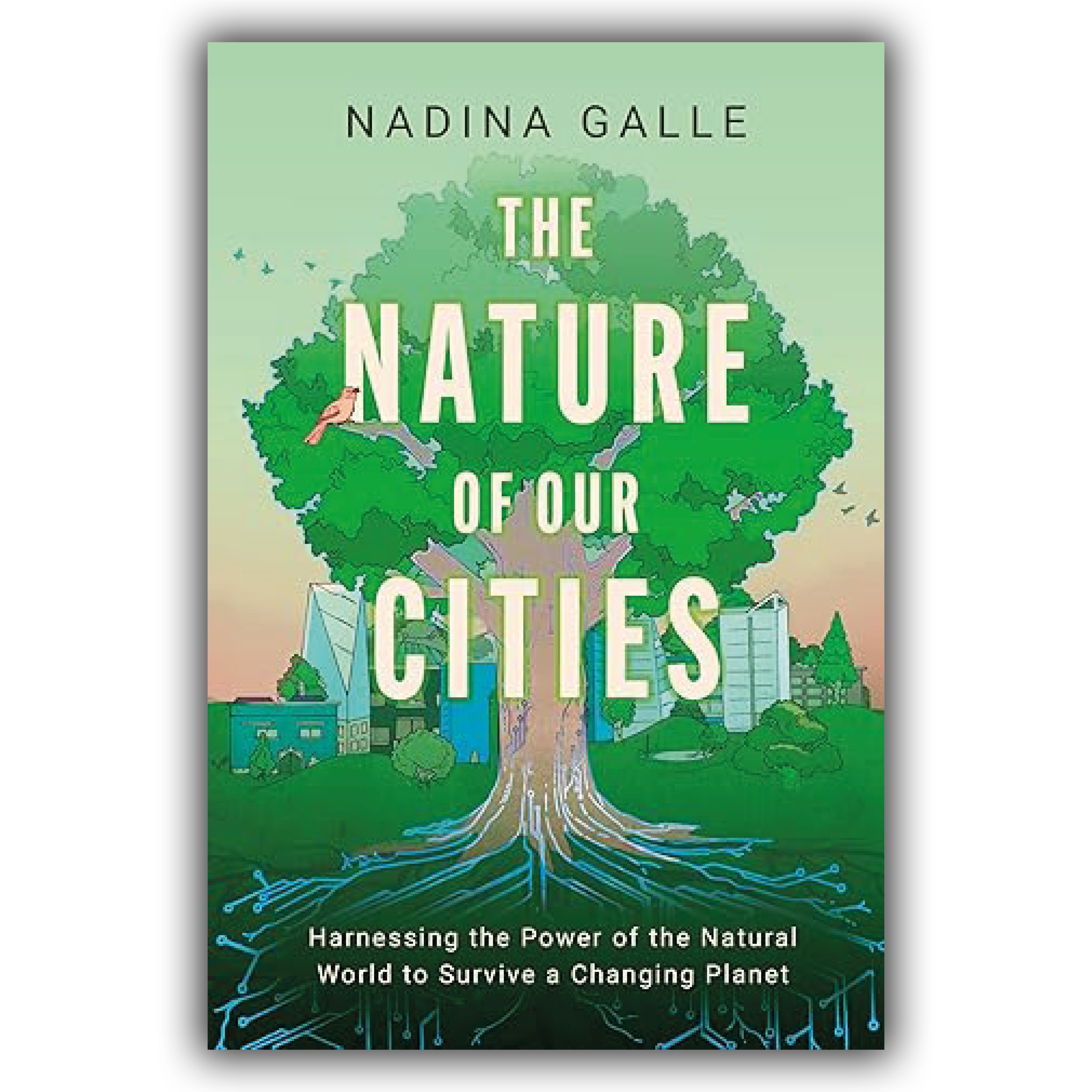 The nature of our cities