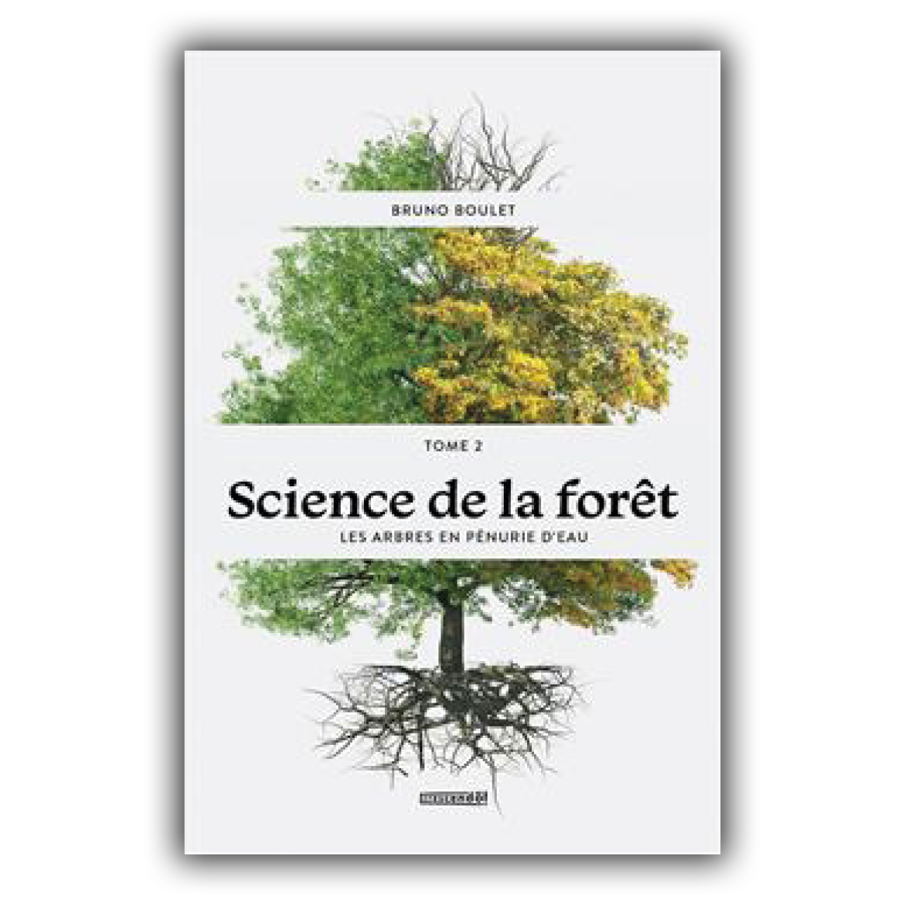 Science de la forêt T.02 Les arbres en pénurie d'eau