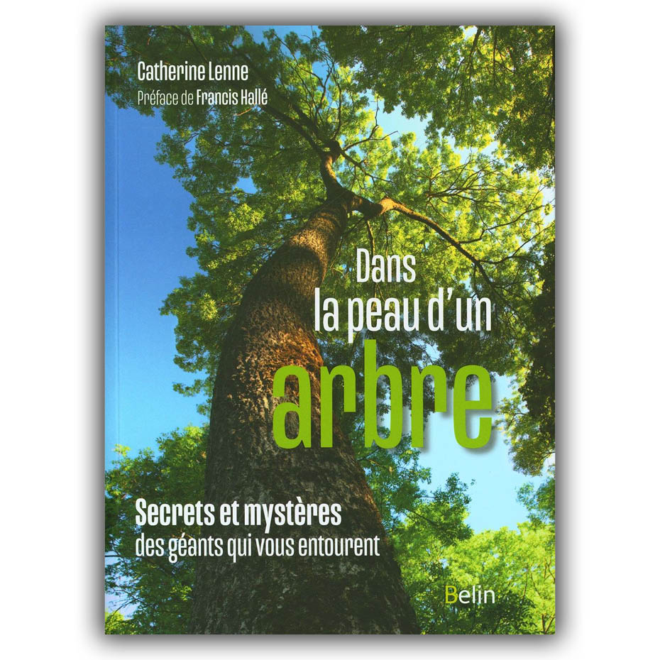Dans la peau d'un arbre