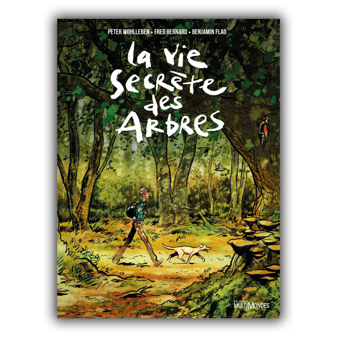 La vie secrète des arbres - la BD