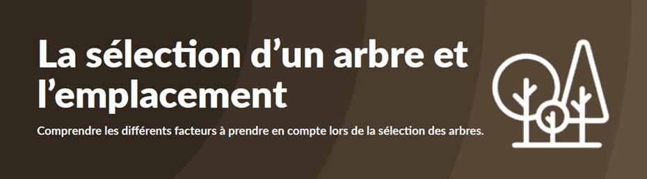 TAG Feuillet Sélection Des Arbres