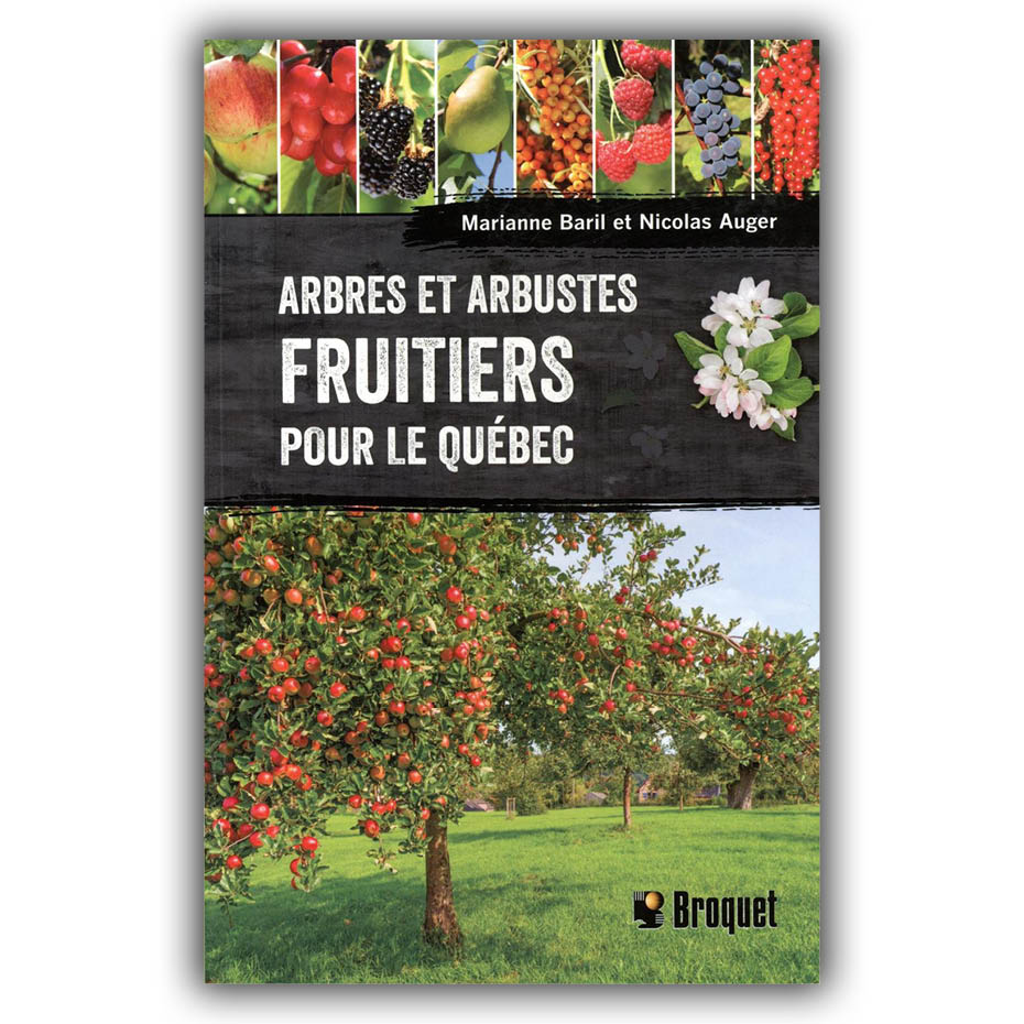 Arbres et arbustes fruitiers pour le Québec