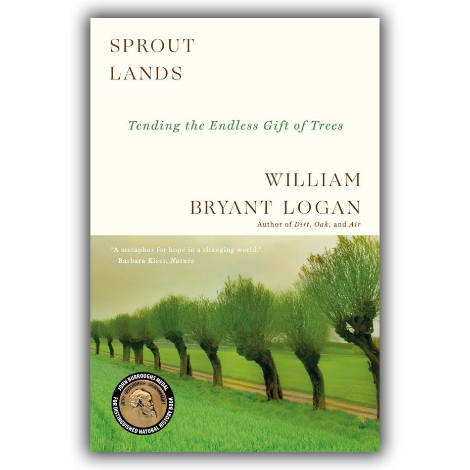 Sprout lands - Tending the Endless Gift of Trees