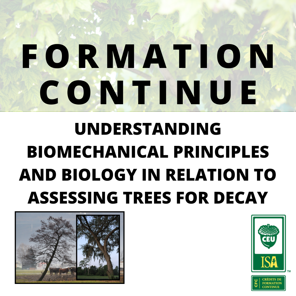 Formation : Understanding biomechanical principles and biology in relation to assessing trees for decay