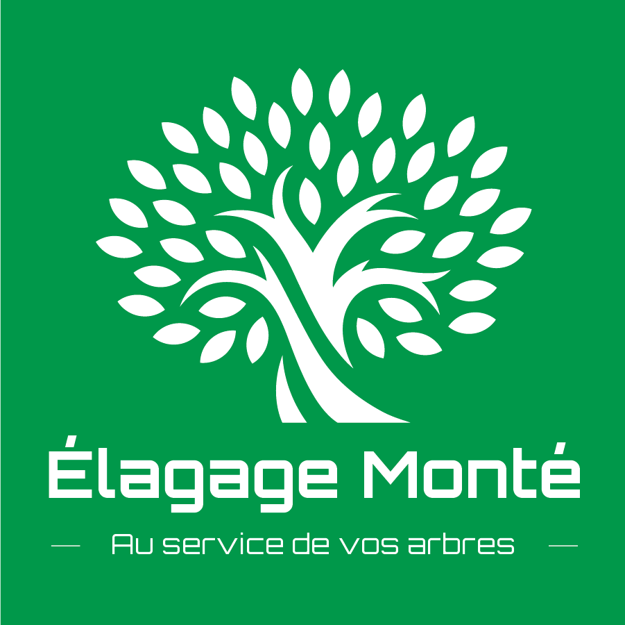Logo fond vert.png