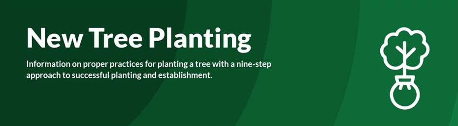 Planting