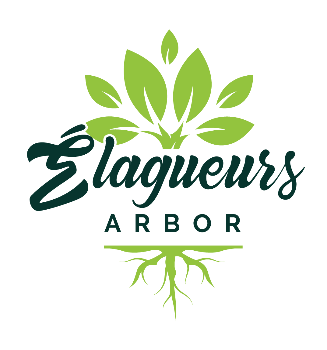 WEB-Fondblanc.png (1) WEB-Fondblanc.png (1)