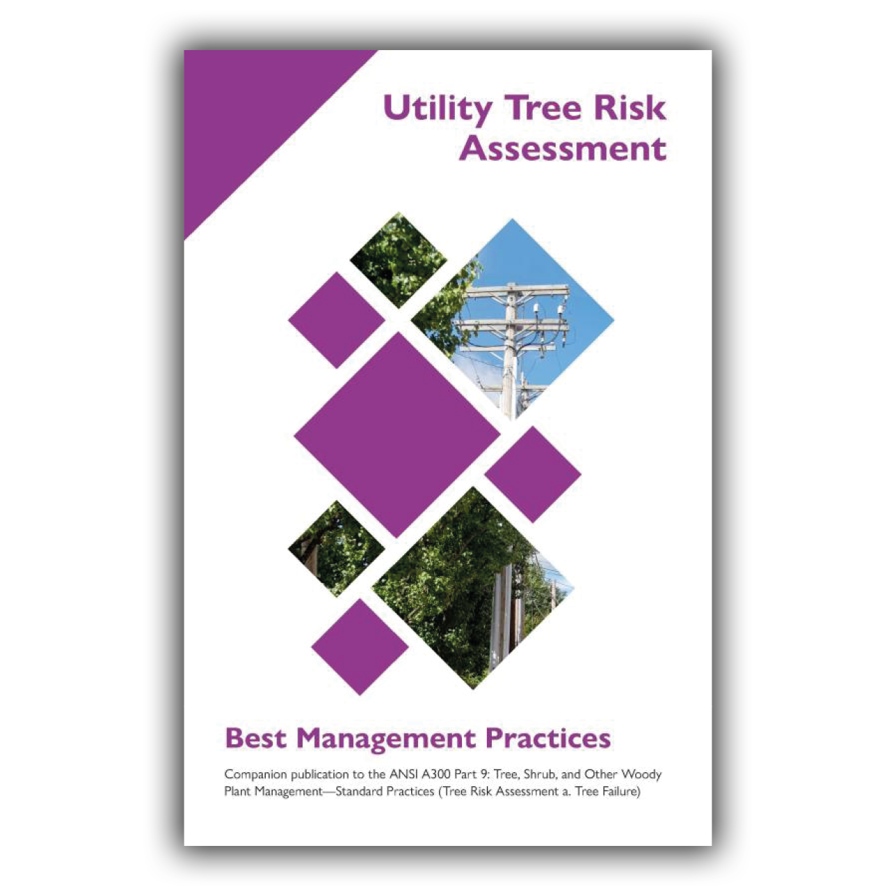 BMP - Utility Tree Risk Assessment BMP - Utility Tree Risk Assessment