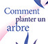 Comment Planter Un Arbre