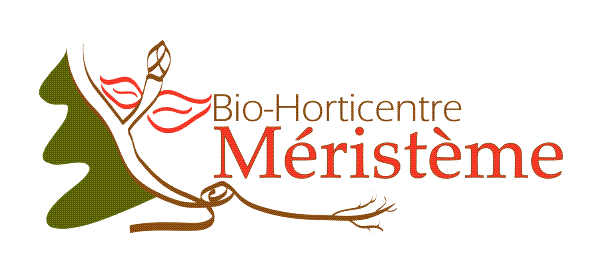 photo logo.png