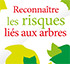 Reconnai Tre Les Risques Lie S Aux Arbres 2017 Vfinal