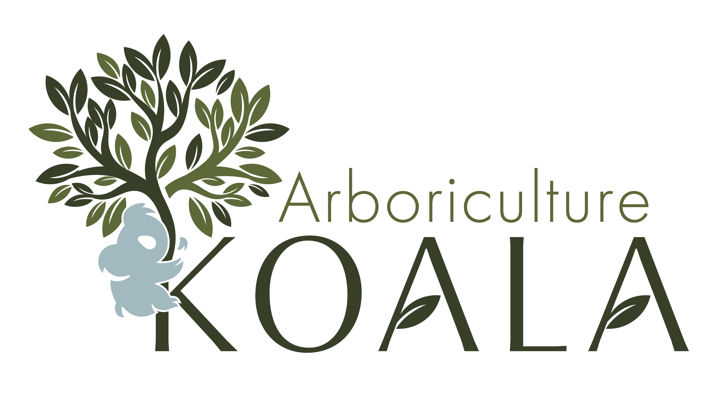 AK_Primary Logo_Colour.png