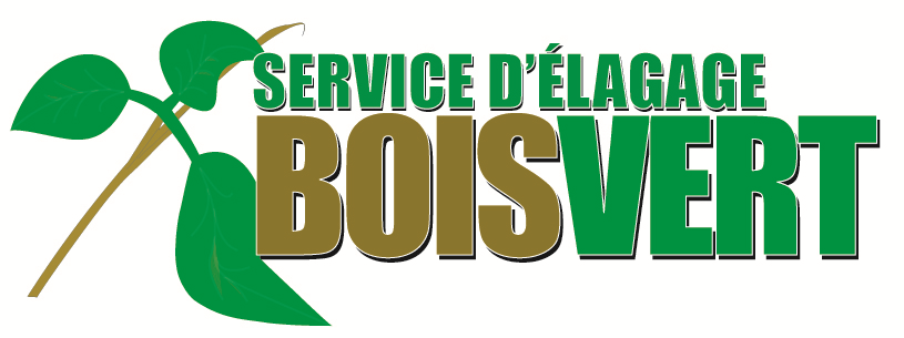 boisvert-Logo.bmp