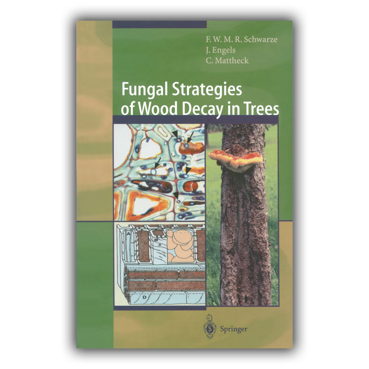 Fungal Strategies of Wood Decay in Trees Fungal Strategies of Wood Decay in Trees
