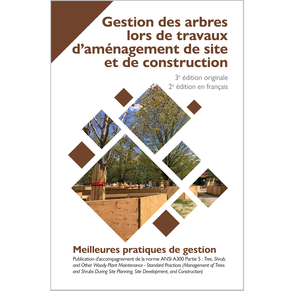 MPG - Gestion des arbres lors de travaux d'aménagement et de construction