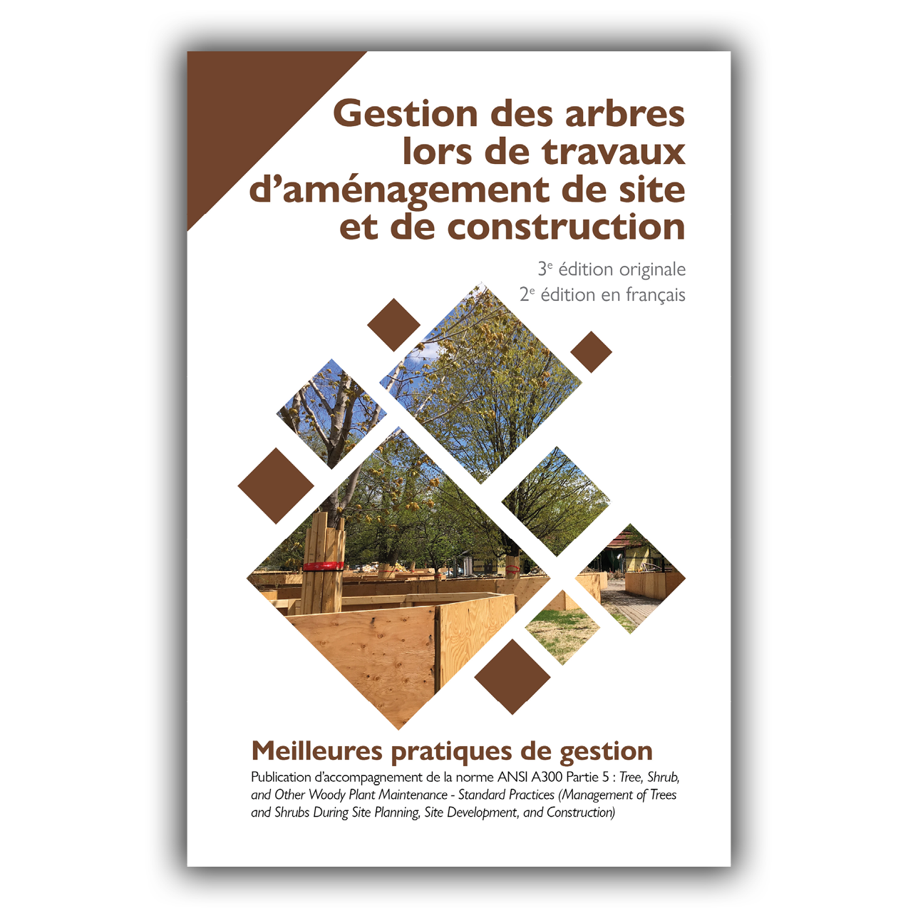MPG - Gestion des arbres lors de travaux d'aménagement et de construction MPG - Gestion des arbres lors de travaux d'aménagement et de construction