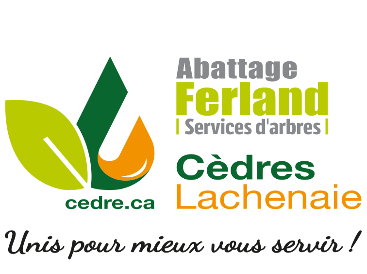 logo.png logo.png