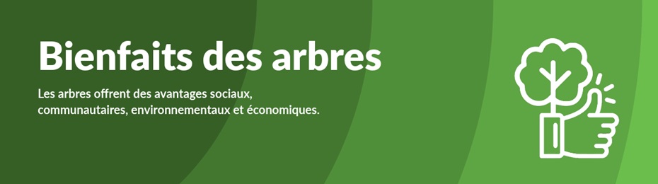 Bienfaits
