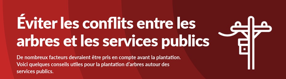 Conflit Fils