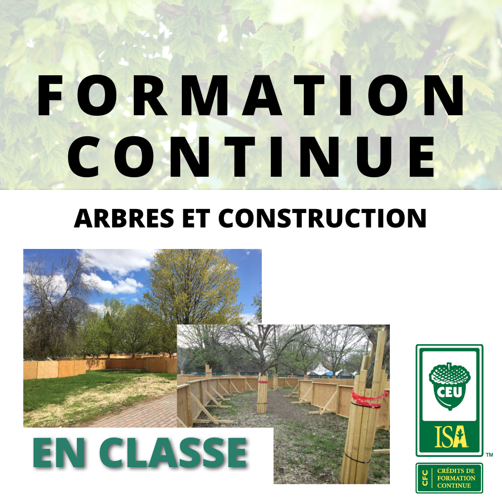 Formation Arbres et construction