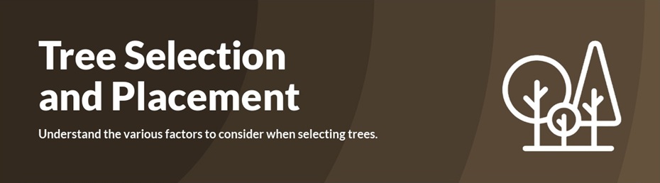 Selection (1)