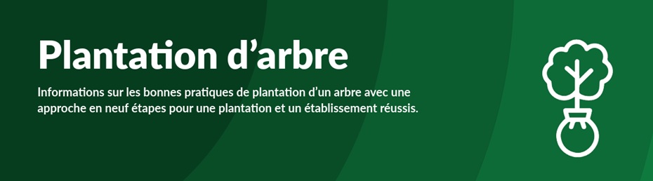 Plantation