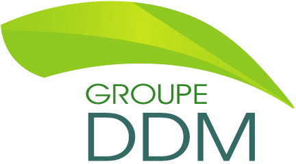 Logo_DDM2013.jpg