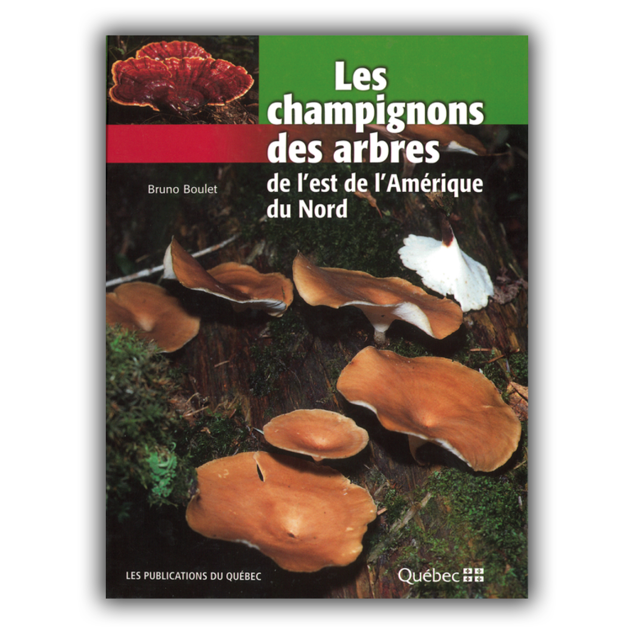 Champignons des arbres de l'est de l'Amérique du Nord (Les)