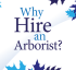 Hireanarborist