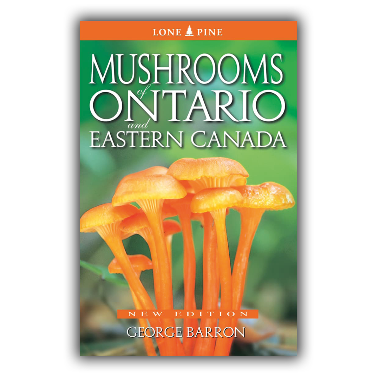 Mushrooms of Ontario and Eastern Canada