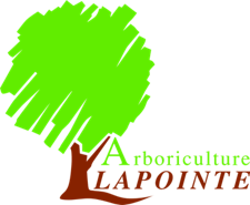 logo Arboriculture Lapointe.png