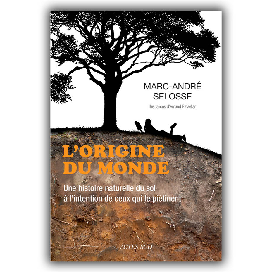 Origine du monde (L')