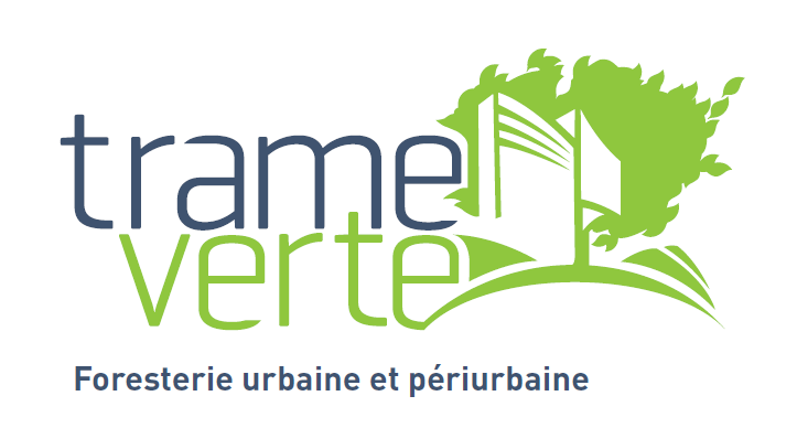 Logo_Slogan_T-V.PNG