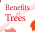 Benefitsoftrees